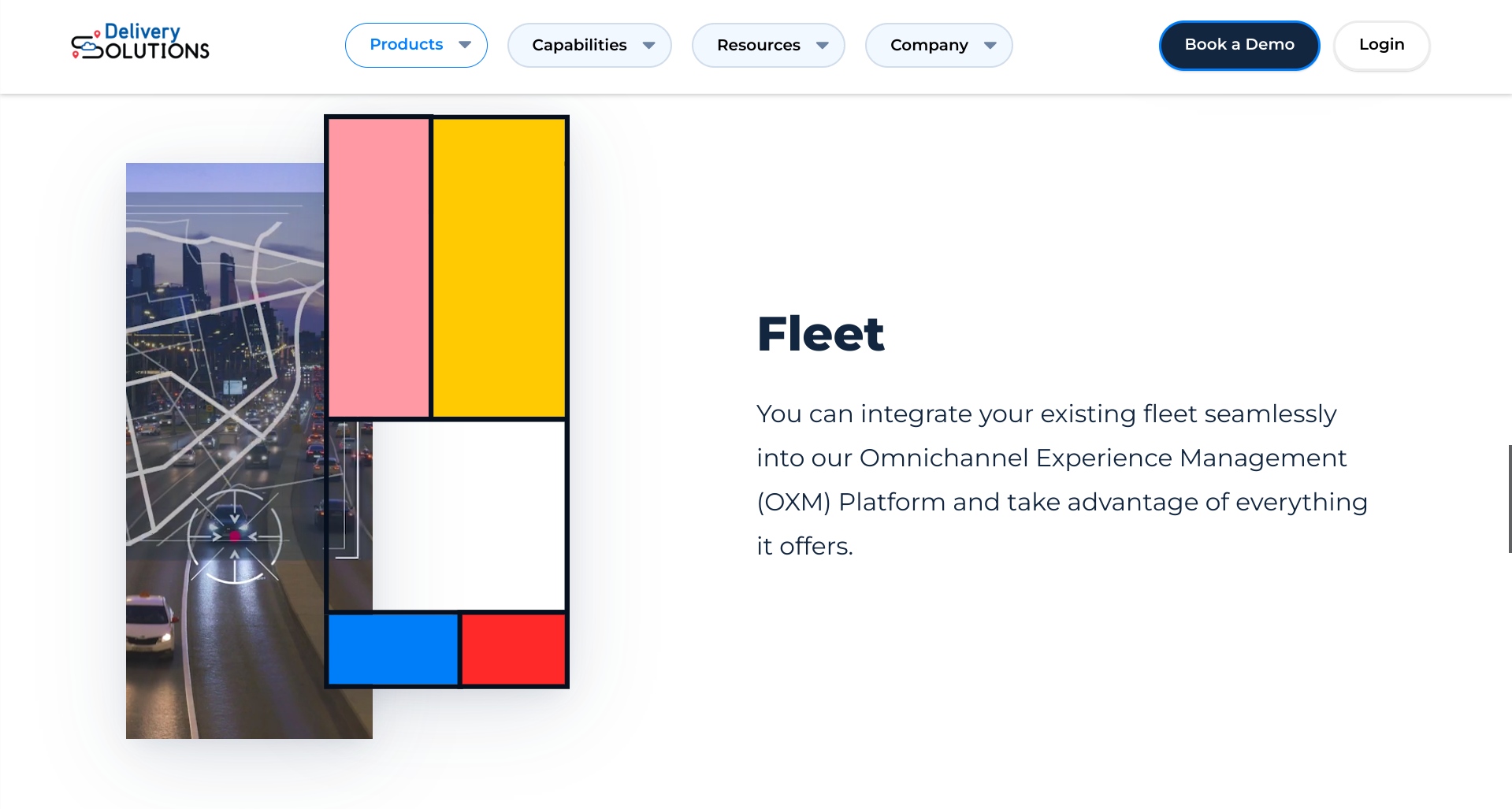 Delivery Solutions fleet management